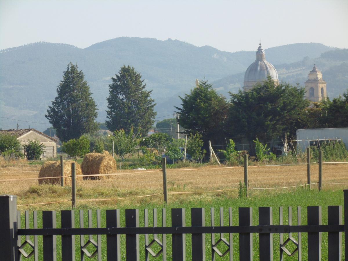 拉基奥伊奥萨住宿加早餐旅馆 阿西西 外观 照片